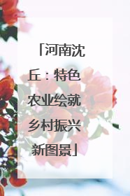 河南沈丘：特色农业绘就乡村振兴新图景